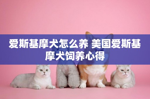 愛斯基摩犬怎么養 美國愛斯基摩犬飼養心得