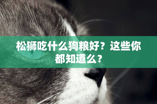 松獅吃什么狗糧好？這些你都知道么？
