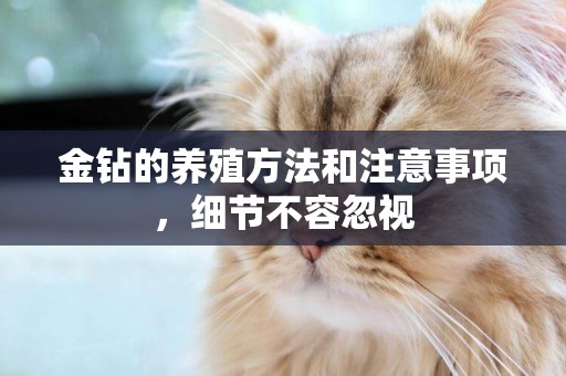 金鉆的養殖方法和注意事項，細節不容忽視
