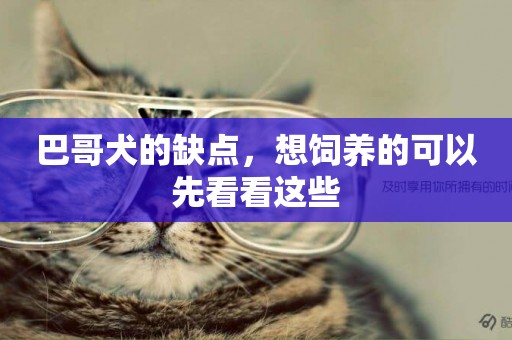 巴哥犬的缺點，想飼養的可以先看看這些