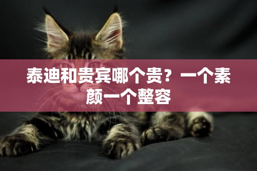 泰迪和貴賓哪個貴？一個素顏一個整容