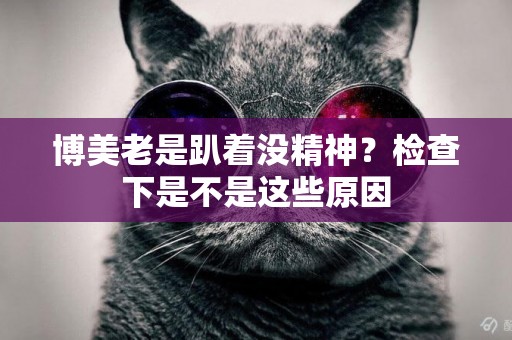 博美老是趴著沒精神？檢查下是不是這些原因
