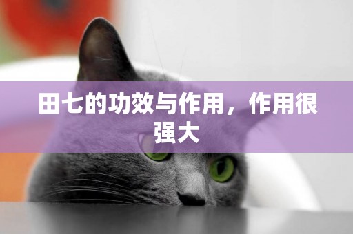 田七的功效與作用，作用很強大