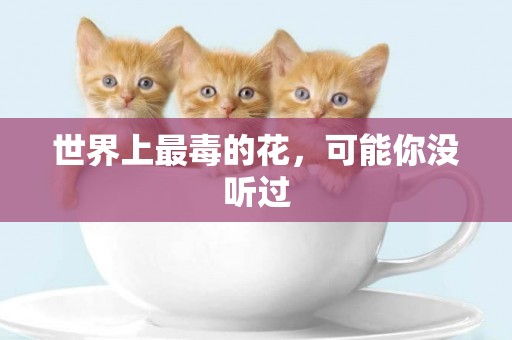世界上最毒的花，可能你沒聽過