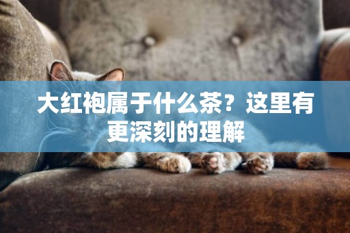 大紅袍屬于什么茶？這里有更深刻的理解