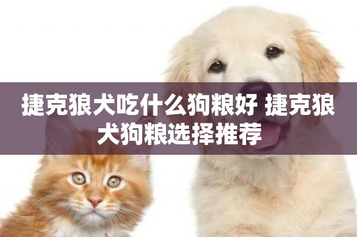 捷克狼犬吃什么狗糧好 捷克狼犬狗糧選擇推薦