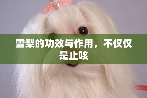 雪梨的功效與作用，不僅僅是止咳