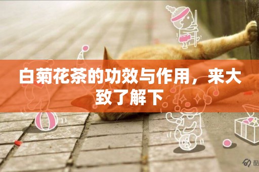 白菊花茶的功效與作用，來大致了解下