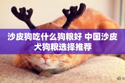 沙皮狗吃什么狗糧好 中國沙皮犬狗糧選擇推薦