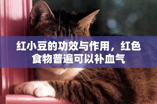 紅小豆的功效與作用，紅色食物普遍可以補血氣