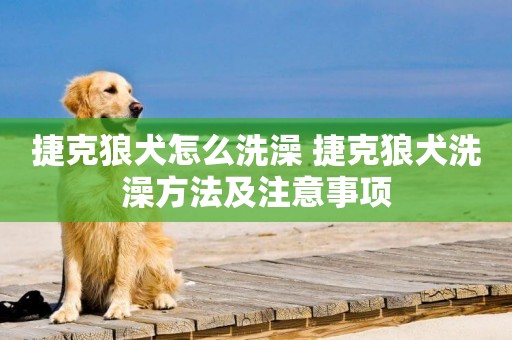 捷克狼犬怎么洗澡 捷克狼犬洗澡方法及注意事項