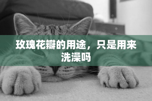 玫瑰花瓣的用途，只是用來洗澡嗎