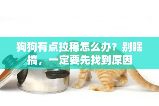 狗狗有點拉稀怎么辦？別瞎搞，一定要先找到原因