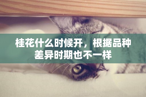 桂花什么時候開，根據品種差異時期也不一樣