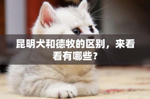 昆明犬和德牧的區別，來看看有哪些？