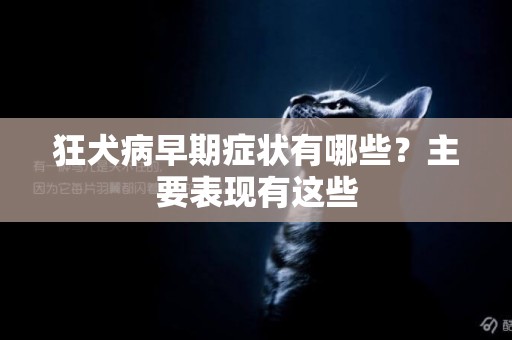 狂犬病早期癥狀有哪些？主要表現有這些