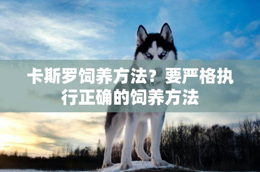 卡斯羅飼養方法？要嚴格執行正確的飼養方法