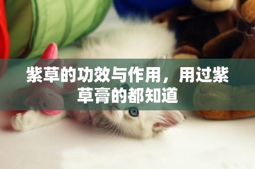 紫草的功效與作用，用過紫草膏的都知道