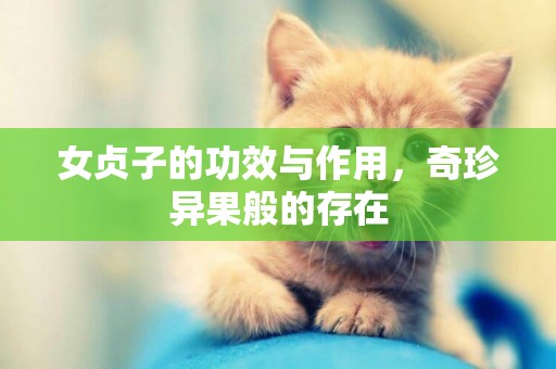女貞子的功效與作用，奇珍異果般的存在