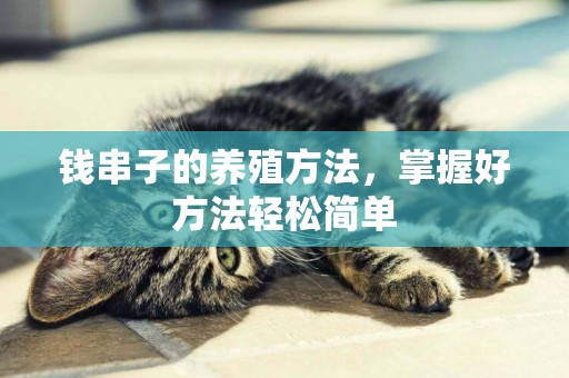 錢串子的養殖方法，掌握好方法輕松簡單
