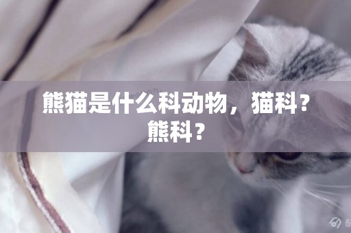 熊貓是什么科動物，貓科？熊科？