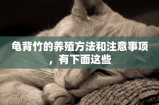 龜背竹的養殖方法和注意事項，有下面這些