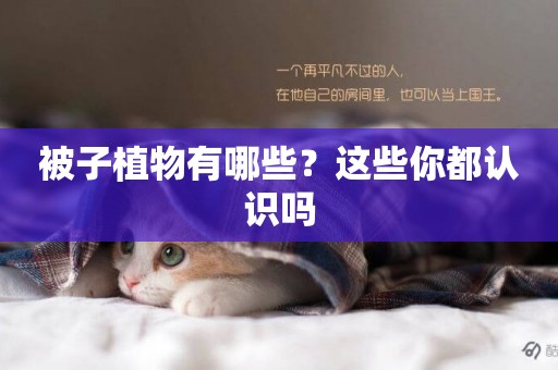 被子植物有哪些？這些你都認識嗎