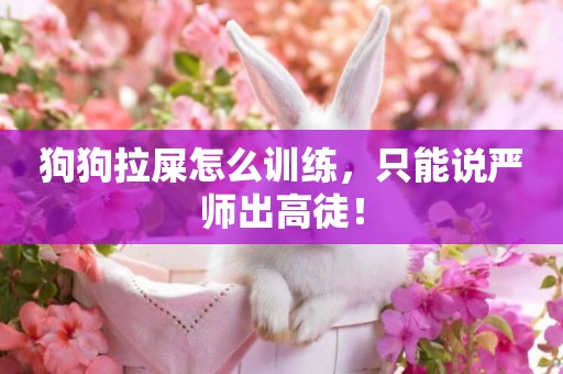 狗狗拉屎怎么訓練，只能說嚴師出高徒！