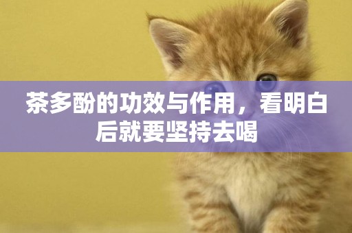 茶多酚的功效與作用，看明白后就要堅持去喝