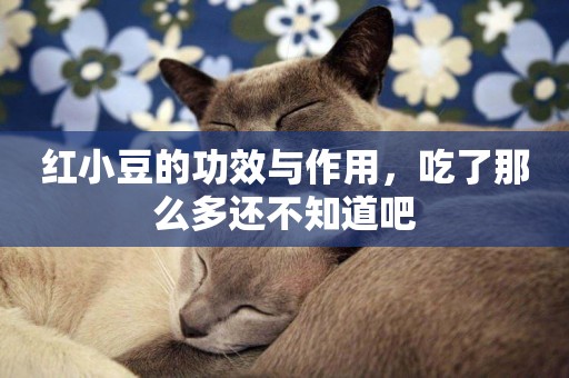 紅小豆的功效與作用，吃了那么多還不知道吧