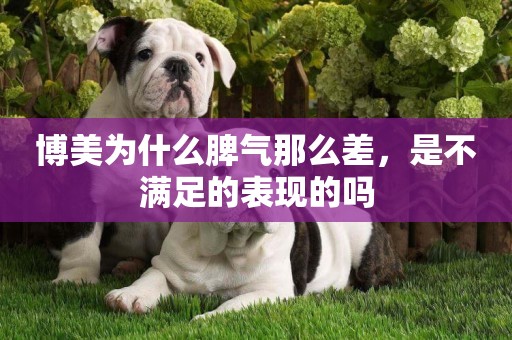 博美為什么脾氣那么差，是不滿足的表現的嗎