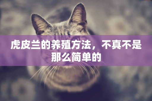 虎皮蘭的養殖方法，不真不是那么簡單的