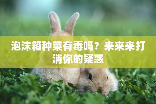 泡沫箱種菜有毒嗎？來來來打消你的疑惑