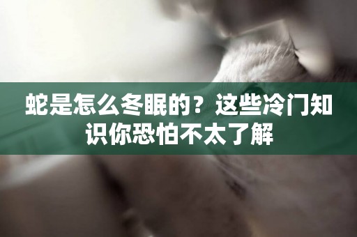 蛇是怎么冬眠的？這些冷門知識你恐怕不太了解