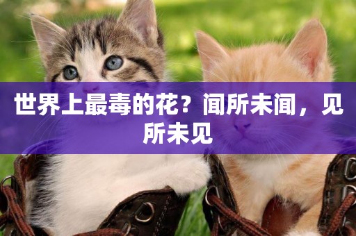 世界上最毒的花？聞所未聞，見所未見