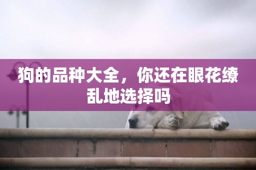 狗的品種大全，你還在眼花繚亂地選擇嗎