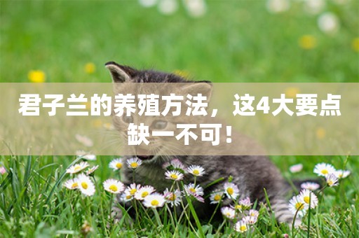 君子蘭的養殖方法，這4大要點缺一不可！