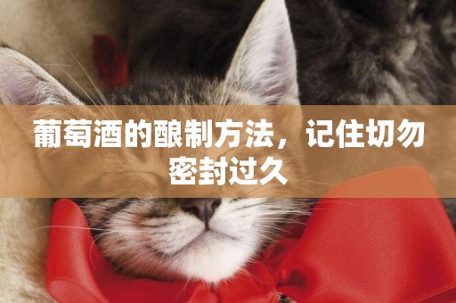 葡萄酒的釀制方法，記住切勿密封過久
