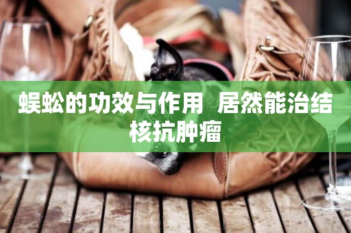 蜈蚣的功效與作用  居然能治結核抗腫瘤