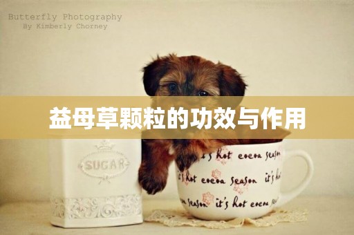 益母草顆粒的功效與作用