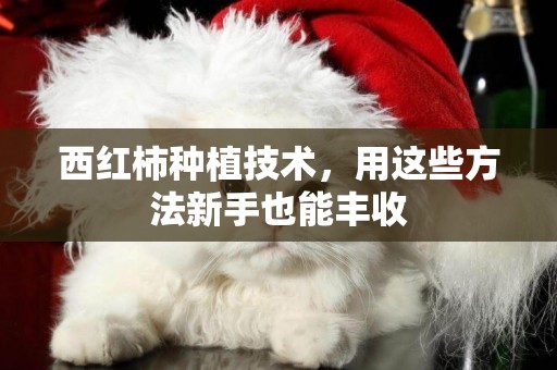 西紅柿種植技術，用這些方法新手也能豐收