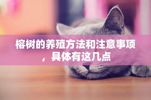 榕樹的養殖方法和注意事項，具體有這幾點