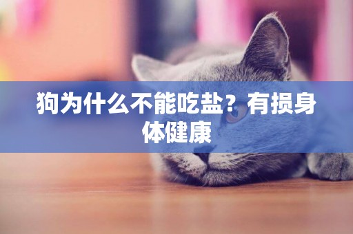 狗為什么不能吃鹽？有損身體健康