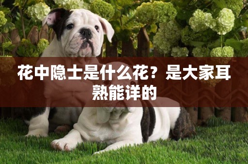 花中隱士是什么花？是大家耳熟能詳的