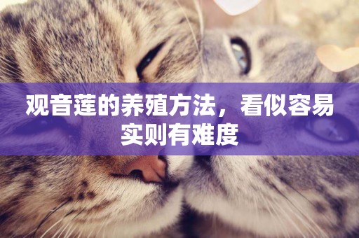 觀音蓮的養殖方法，看似容易實則有難度
