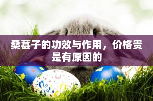 桑葚子的功效與作用，價格貴是有原因的