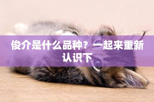 俊介是什么品種？一起來重新認識下