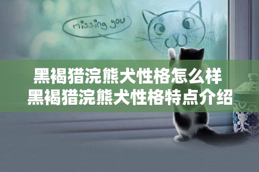 黑褐獵浣熊犬性格怎么樣 黑褐獵浣熊犬性格特點介紹