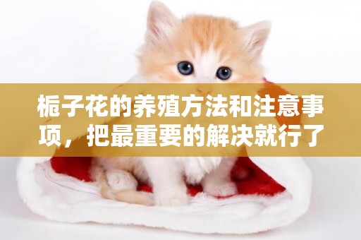 梔子花的養殖方法和注意事項，把最重要的解決就行了