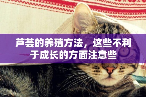 蘆薈的養殖方法，這些不利于成長的方面注意些